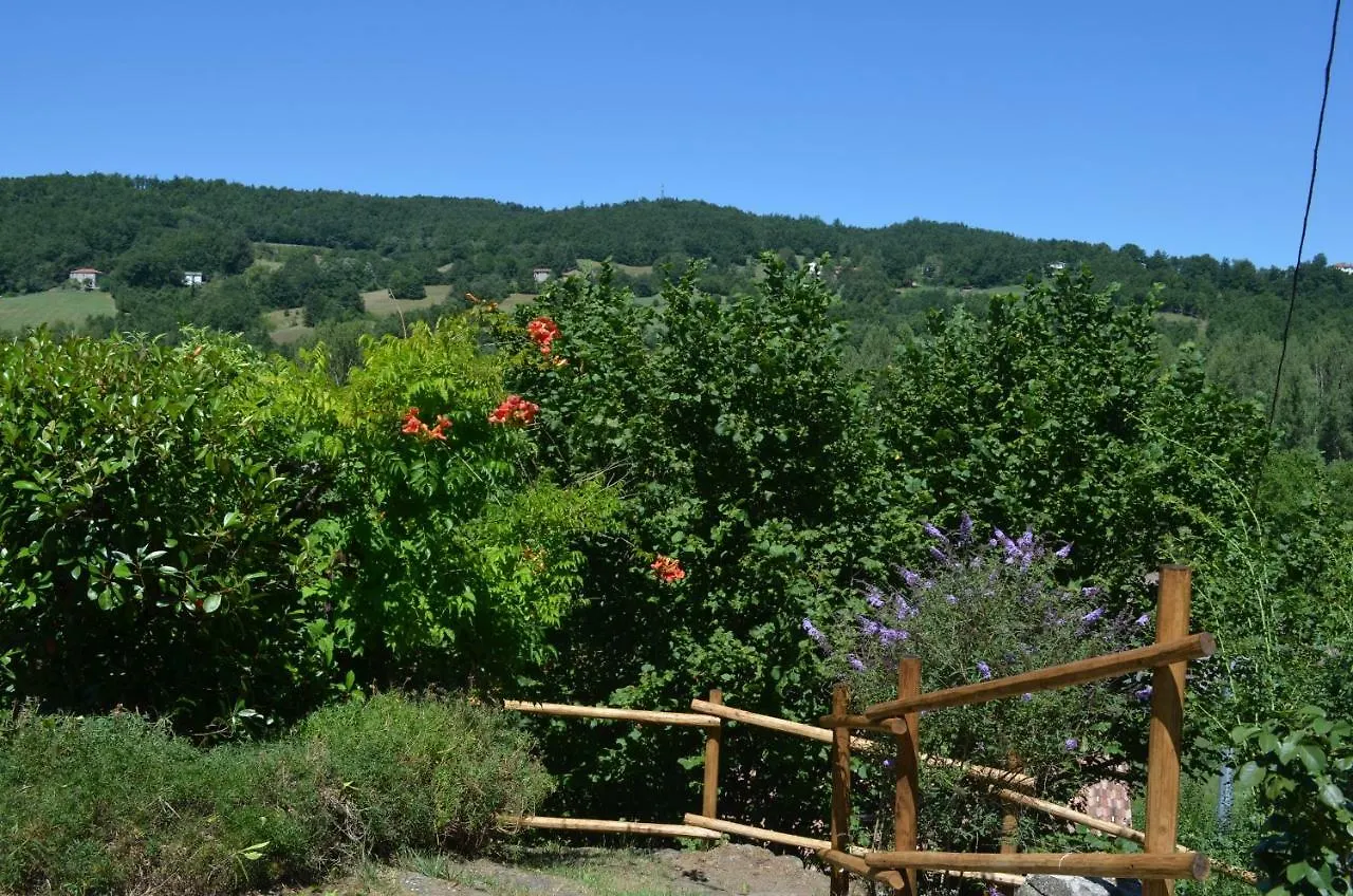 Casa Mazetta Hotel Albareto  Italy
